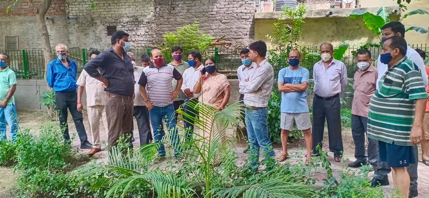 सनलाइट कॉलोनी 2 के पीपल वाले पार्क में सफाई अभियान — तस्वीर 1 में से 12