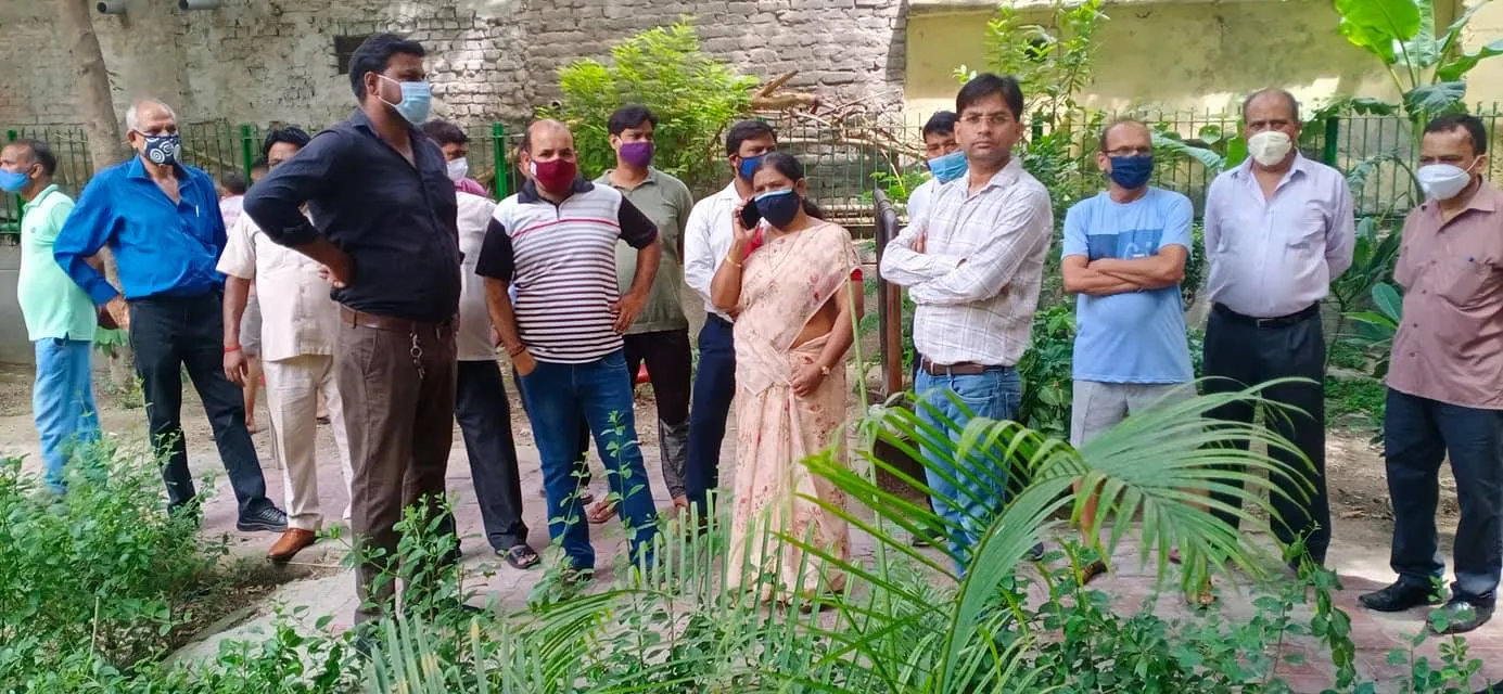 सनलाइट कॉलोनी 2 के पीपल वाले पार्क में सफाई अभियान — तस्वीर 2 में से 12