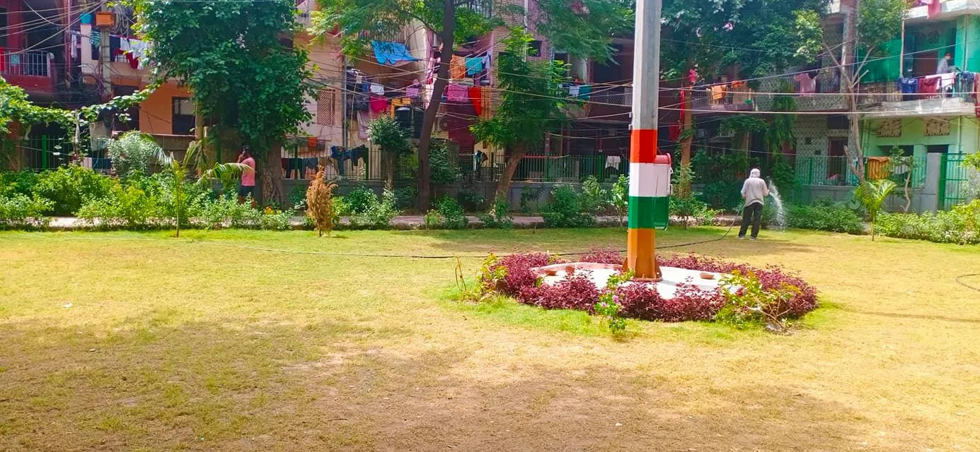 सनलाइट कॉलोनी 2 के पीपल वाले पार्क में सफाई अभियान — तस्वीर 7 में से 12