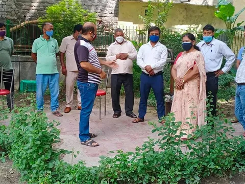 सनलाइट कॉलोनी 2 के पीपल वाले पार्क में सफाई अभियान — 11