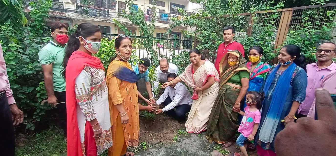 ज्ञानचंद पार्क में शीला दीक्षित जी की पुण्यतिथि पर वृक्षारोपण — तस्वीर 1 में से 16