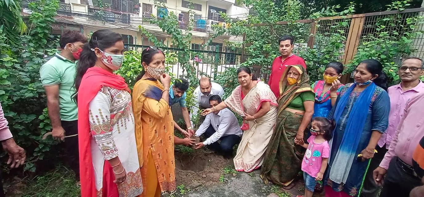 ज्ञानचंद पार्क में शीला दीक्षित जी की पुण्यतिथि पर वृक्षारोपण — तस्वीर 2 में से 16