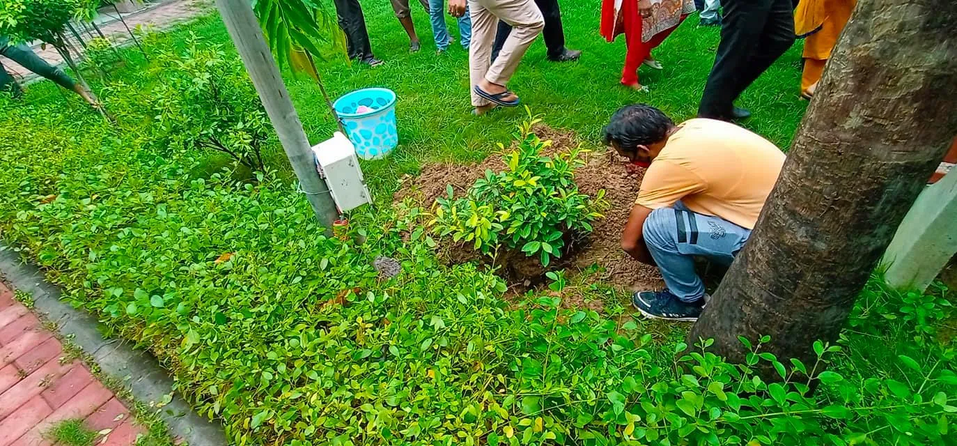 ज्ञानचंद पार्क में शीला दीक्षित जी की पुण्यतिथि पर वृक्षारोपण — तस्वीर 13 में से 16