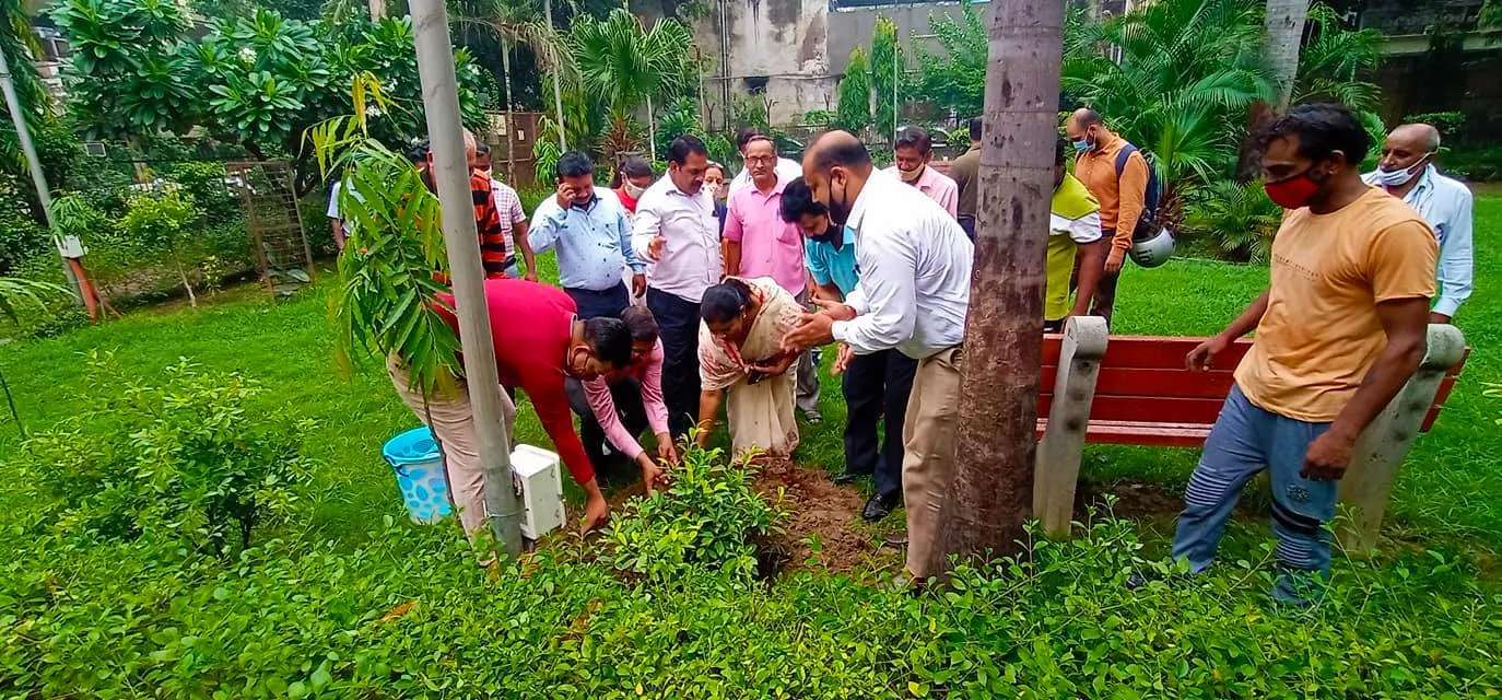 ज्ञानचंद पार्क में शीला दीक्षित जी की पुण्यतिथि पर वृक्षारोपण — तस्वीर 15 में से 16