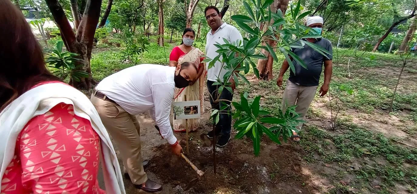 राजीव गांधी स्मृति वन में शीला दीक्षित जी की पुण्यतिथि पर वृक्षारोपण — तस्वीर 5 में से 22