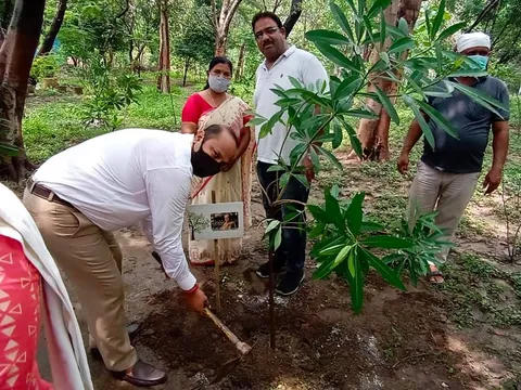 राजीव गांधी स्मृति वन में शीला दीक्षित जी की पुण्यतिथि पर वृक्षारोपण — 5