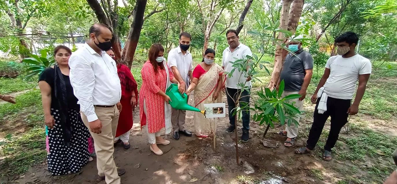 राजीव गांधी स्मृति वन में शीला दीक्षित जी की पुण्यतिथि पर वृक्षारोपण — तस्वीर 6 में से 22