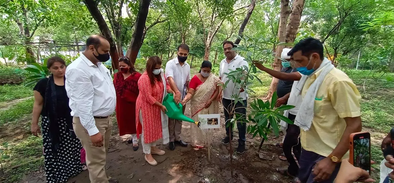 राजीव गांधी स्मृति वन में शीला दीक्षित जी की पुण्यतिथि पर वृक्षारोपण — तस्वीर 7 में से 22