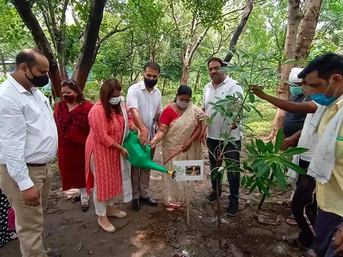 राजीव गांधी स्मृति वन में शीला दीक्षित जी की पुण्यतिथि पर वृक्षारोपण — 7