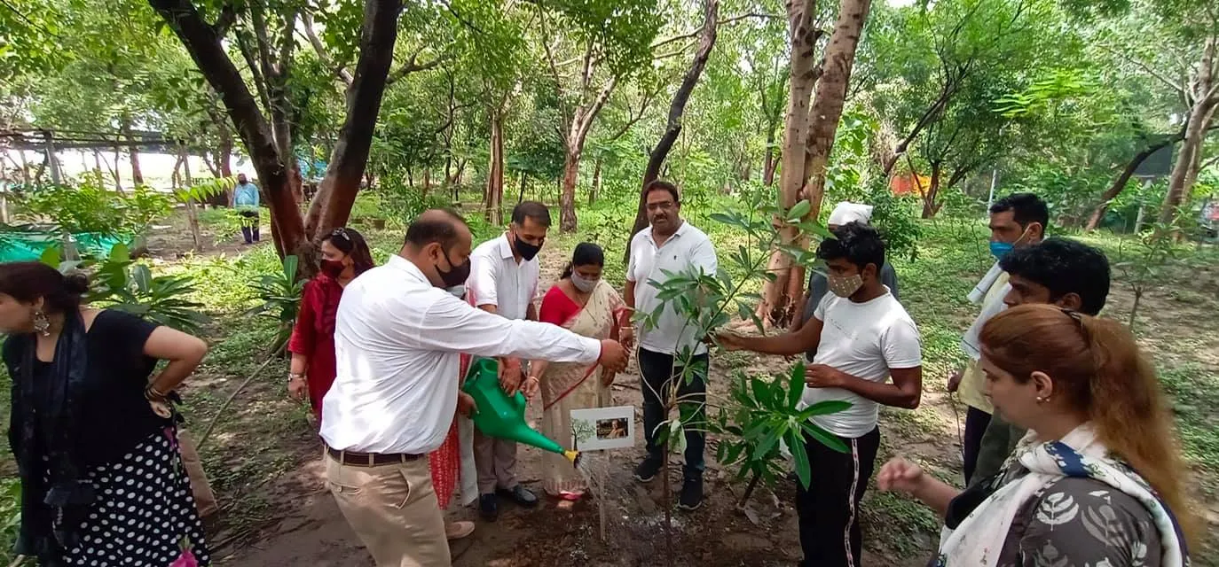 राजीव गांधी स्मृति वन में शीला दीक्षित जी की पुण्यतिथि पर वृक्षारोपण — तस्वीर 8 में से 22
