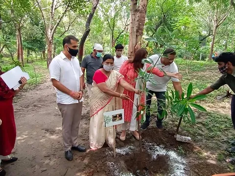 राजीव गांधी स्मृति वन में शीला दीक्षित जी की पुण्यतिथि पर वृक्षारोपण — 9