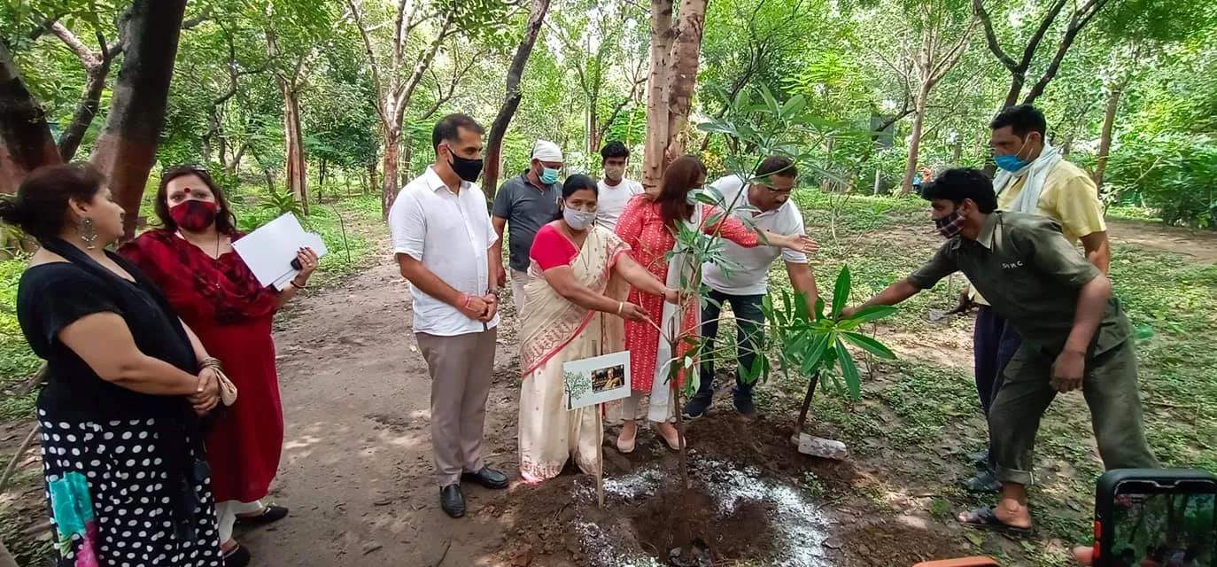 राजीव गांधी स्मृति वन में शीला दीक्षित जी की पुण्यतिथि पर वृक्षारोपण — तस्वीर 9 में से 22