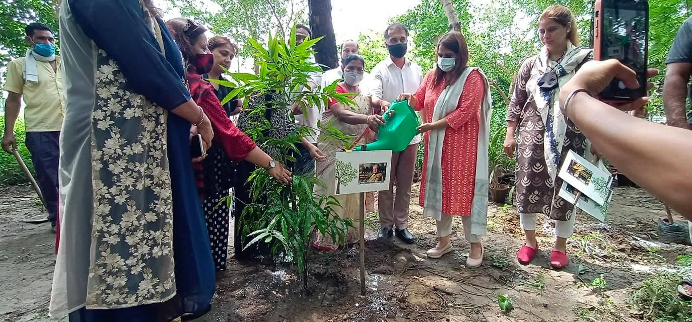 राजीव गांधी स्मृति वन में शीला दीक्षित जी की पुण्यतिथि पर वृक्षारोपण — तस्वीर 11 में से 22