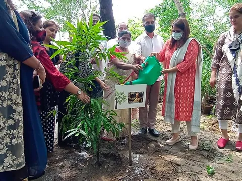 राजीव गांधी स्मृति वन में शीला दीक्षित जी की पुण्यतिथि पर वृक्षारोपण — 11