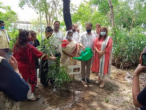 राजीव गांधी स्मृति वन में शीला दीक्षित जी की पुण्यतिथि पर वृक्षारोपण — 12
