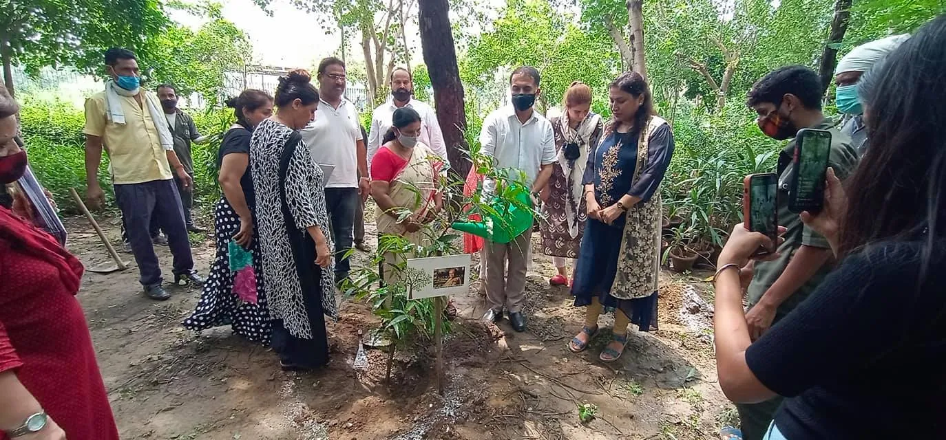 राजीव गांधी स्मृति वन में शीला दीक्षित जी की पुण्यतिथि पर वृक्षारोपण — तस्वीर 13 में से 22