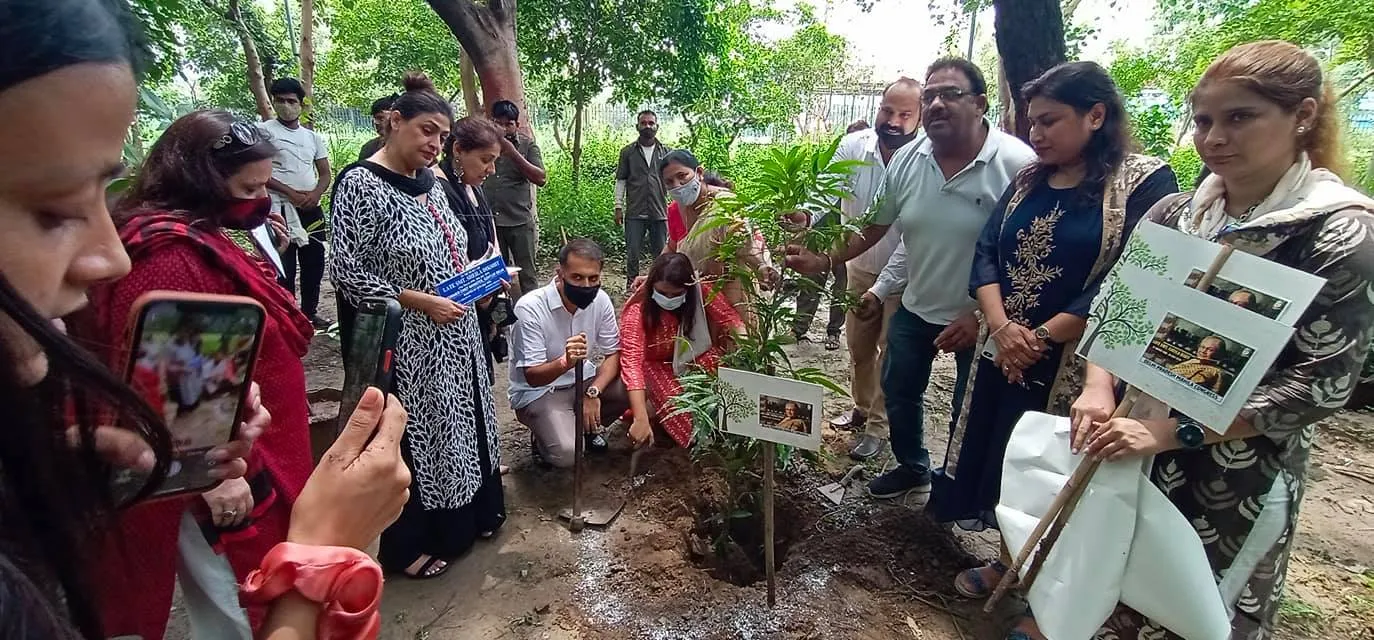राजीव गांधी स्मृति वन में शीला दीक्षित जी की पुण्यतिथि पर वृक्षारोपण — तस्वीर 14 में से 22