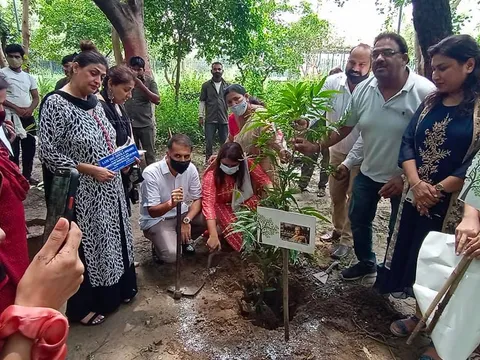 राजीव गांधी स्मृति वन में शीला दीक्षित जी की पुण्यतिथि पर वृक्षारोपण — 14
