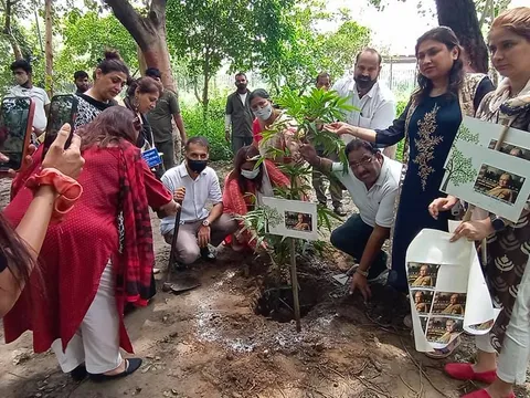 राजीव गांधी स्मृति वन में शीला दीक्षित जी की पुण्यतिथि पर वृक्षारोपण — 15