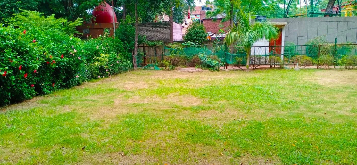 हुकुमचंद पार्क में सीनियर सिटीजन द्वारा वृक्षारोपण — तस्वीर 1 में से 47