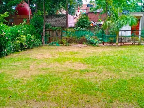 हुकुमचंद पार्क में सीनियर सिटीजन द्वारा वृक्षारोपण
