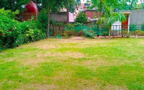 हुकुमचंद पार्क में सीनियर सिटीजन द्वारा वृक्षारोपण