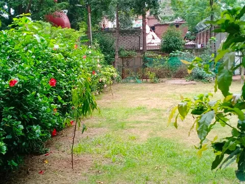 हुकुमचंद पार्क में सीनियर सिटीजन द्वारा वृक्षारोपण — 3