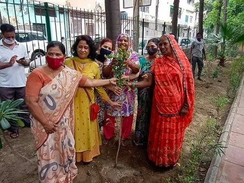 हुकुमचंद पार्क में सीनियर सिटीजन द्वारा वृक्षारोपण — 5