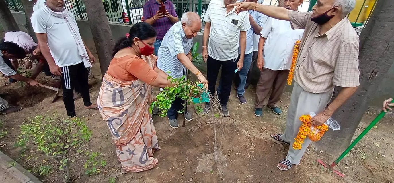 हुकुमचंद पार्क में सीनियर सिटीजन द्वारा वृक्षारोपण — तस्वीर 7 में से 47