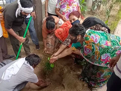 हुकुमचंद पार्क में सीनियर सिटीजन द्वारा वृक्षारोपण — 10
