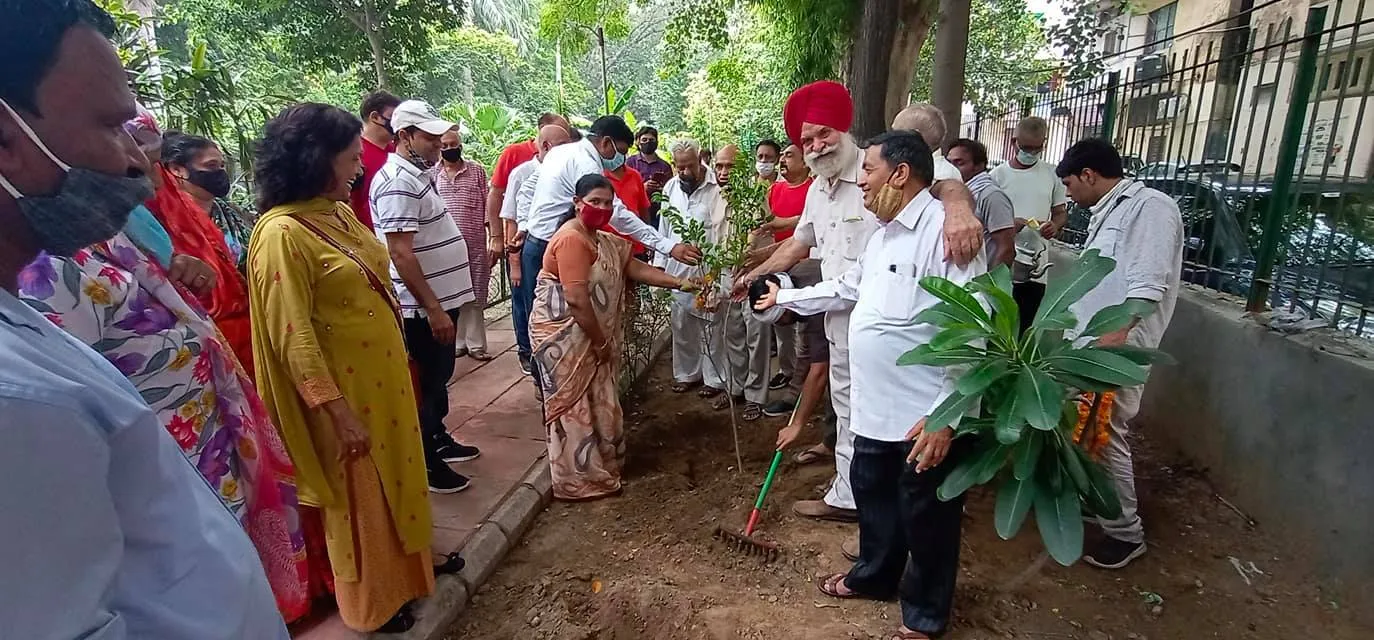 हुकुमचंद पार्क में सीनियर सिटीजन द्वारा वृक्षारोपण — तस्वीर 11 में से 47