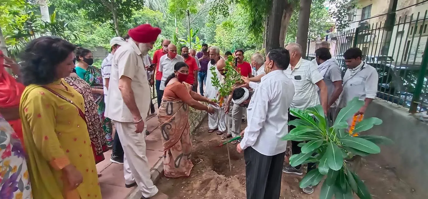 हुकुमचंद पार्क में सीनियर सिटीजन द्वारा वृक्षारोपण — तस्वीर 12 में से 47
