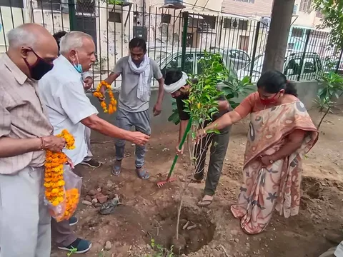 हुकुमचंद पार्क में सीनियर सिटीजन द्वारा वृक्षारोपण — 13