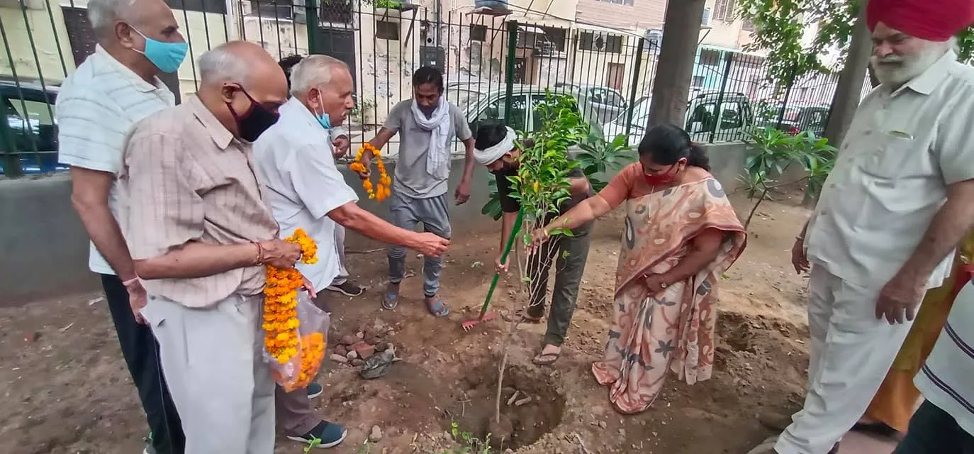 हुकुमचंद पार्क में सीनियर सिटीजन द्वारा वृक्षारोपण — तस्वीर 13 में से 47