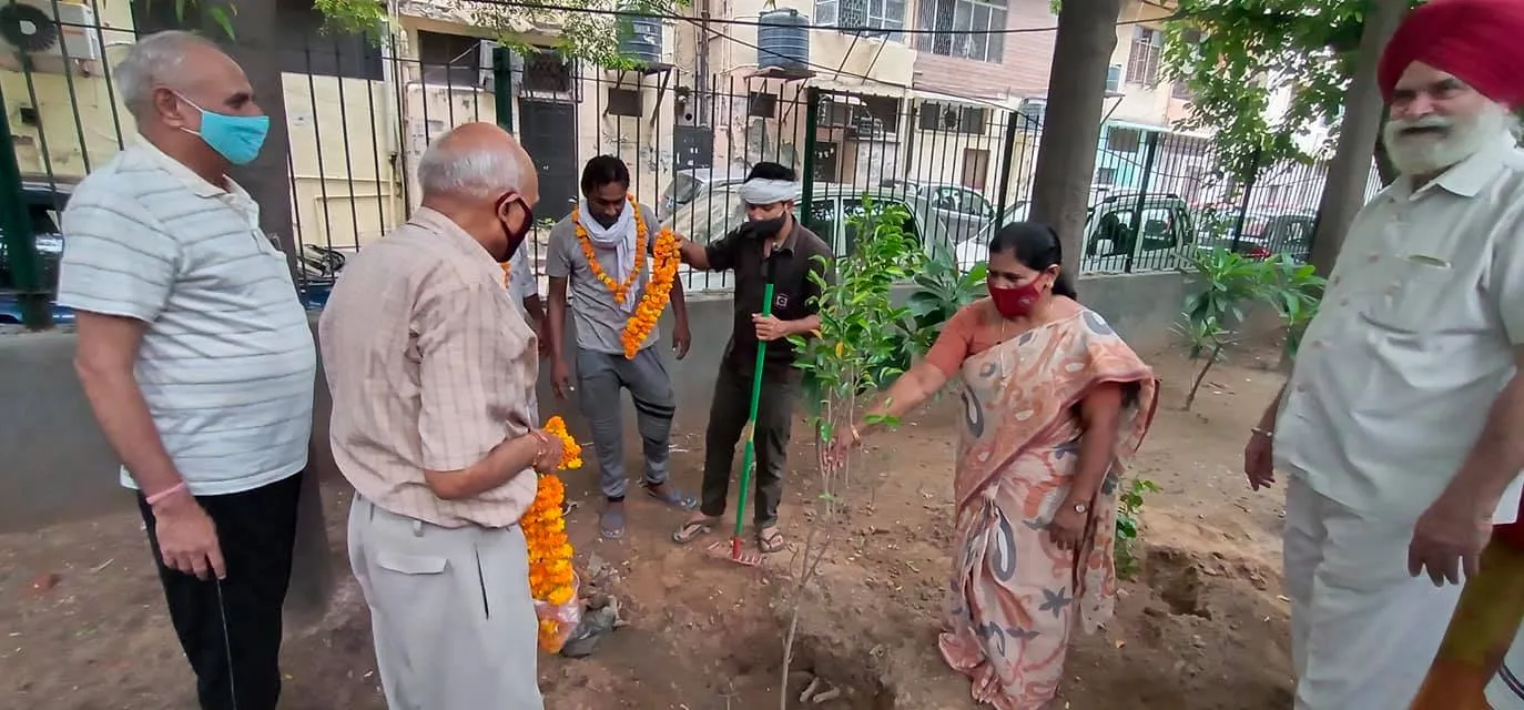 हुकुमचंद पार्क में सीनियर सिटीजन द्वारा वृक्षारोपण — तस्वीर 14 में से 47