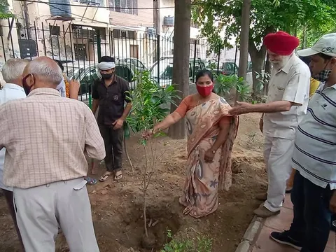 हुकुमचंद पार्क में सीनियर सिटीजन द्वारा वृक्षारोपण — 15