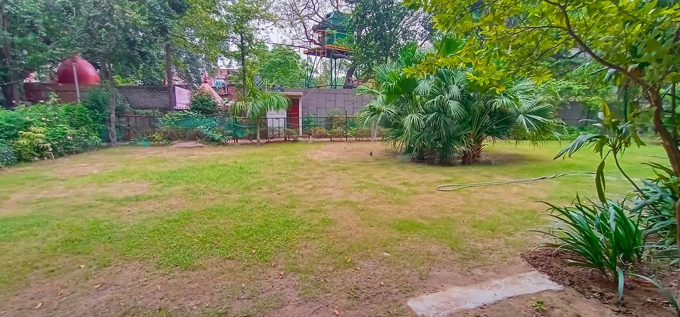 हुकुमचंद पार्क में सीनियर सिटीजन द्वारा वृक्षारोपण — तस्वीर 16 में से 47