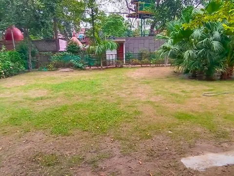 हुकुमचंद पार्क में सीनियर सिटीजन द्वारा वृक्षारोपण — 17