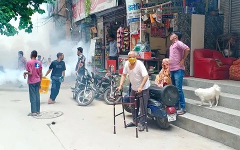 सनलाइट कॉलोनी नं 1 में एंटी मलेरिया फॉगिंग