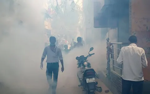 सनलाइट कॉलोनी नं 1 में एंटी मलेरिया फॉगिंग