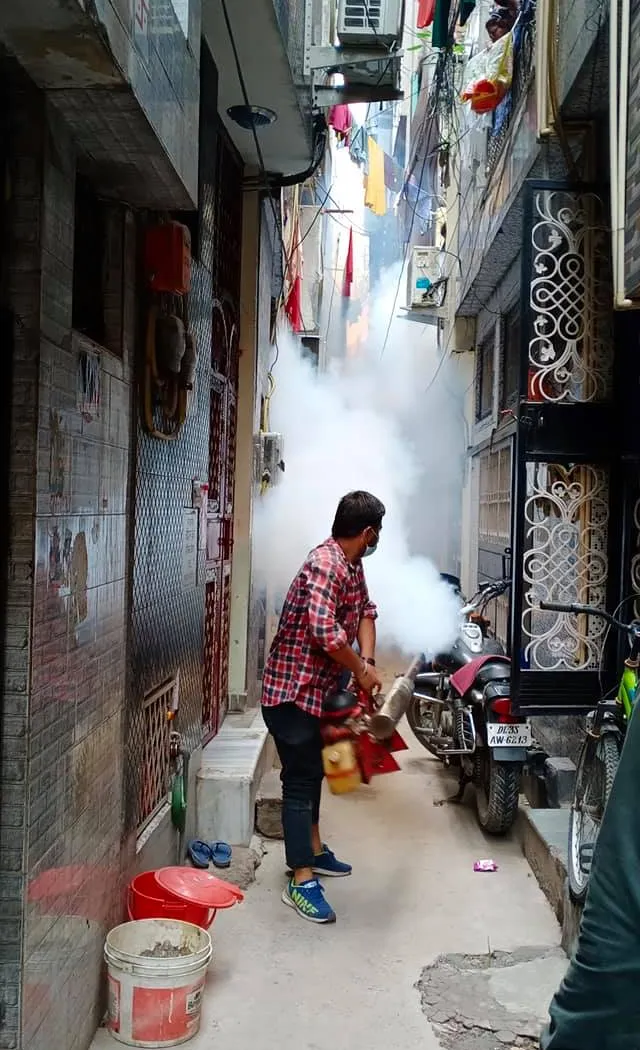 सनलाइट कॉलोनी नं 1 में एंटी मलेरिया फॉगिंग — तस्वीर 13 में से 19
