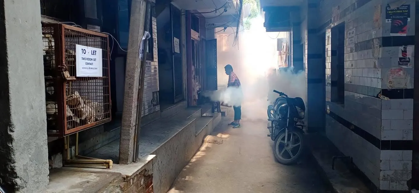 सनलाइट कॉलोनी नं 1 में एंटी मलेरिया फॉगिंग — तस्वीर 16 में से 19