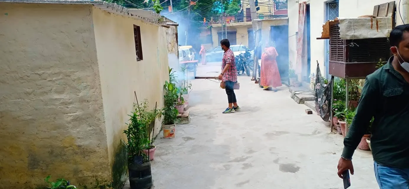 सनलाइट कॉलोनी नं 1 में एंटी मलेरिया फॉगिंग — तस्वीर 19 में से 19