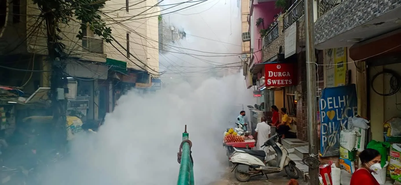 वार्ड 143 में फॉगिंग मशीन चलवाई गई — तस्वीर 19 में से 29