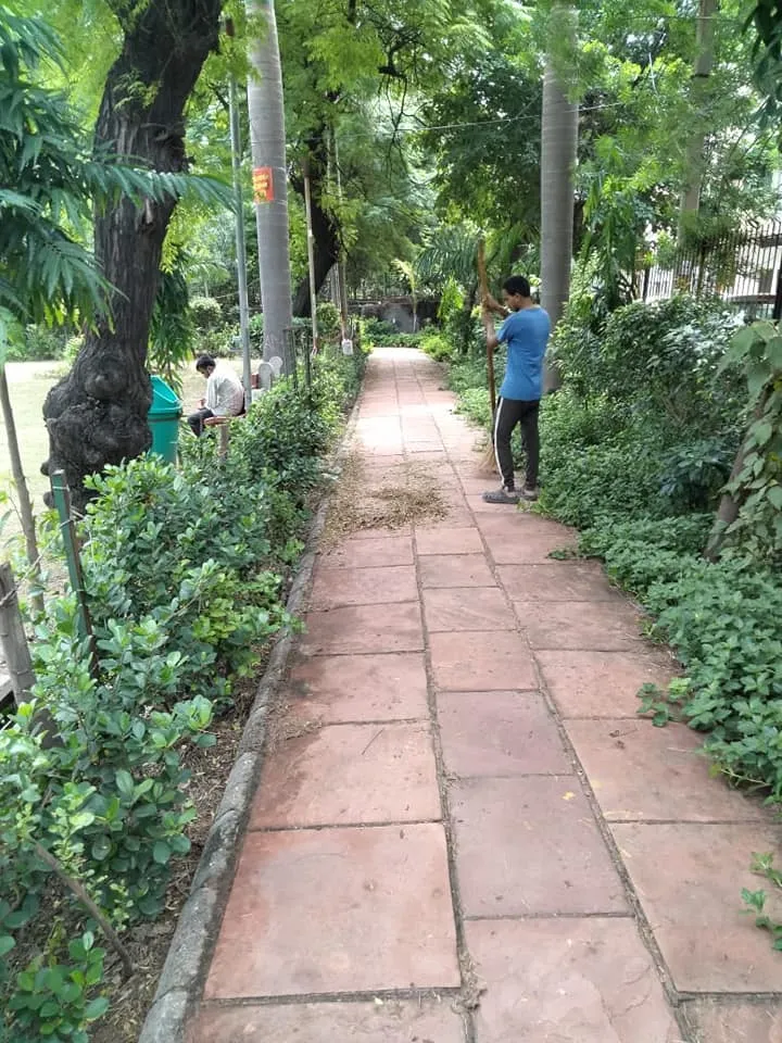 वरिष्ठ नागरिक व अन्य पार्कों की सफाई — तस्वीर 1 में से 10