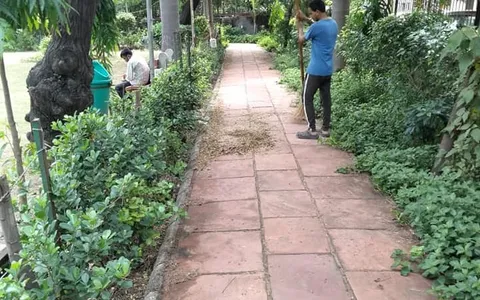 वरिष्ठ नागरिक व अन्य पार्कों की सफाई
