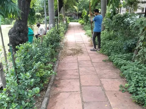 वरिष्ठ नागरिक व अन्य पार्कों की सफाई