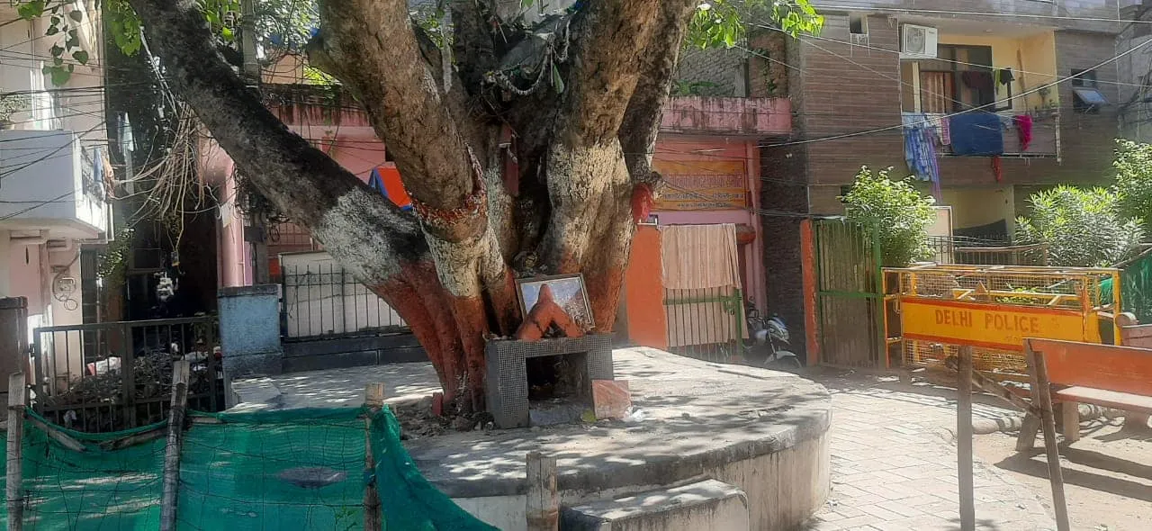 वरिष्ठ नागरिक व अन्य पार्कों की सफाई — तस्वीर 5 में से 10