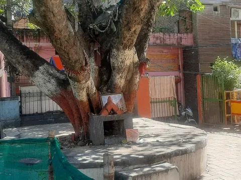 वरिष्ठ नागरिक व अन्य पार्कों की सफाई — 5