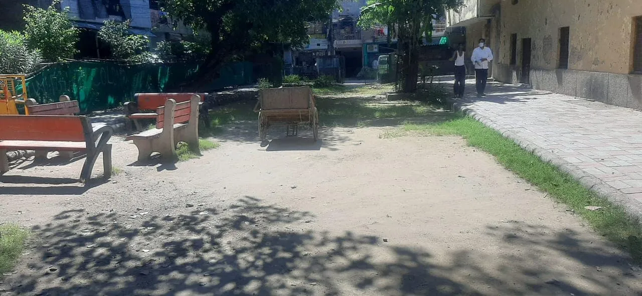वरिष्ठ नागरिक व अन्य पार्कों की सफाई — तस्वीर 6 में से 10